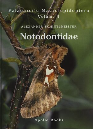 Cover Notodontidae