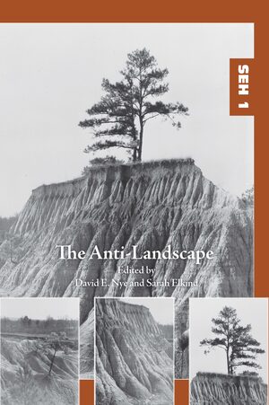 Cover The Anti-Landscape