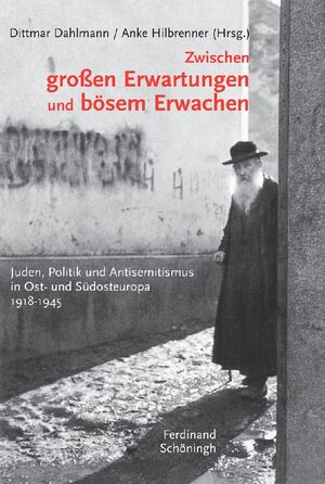 Cover Zwischen groÃen Erwartungen und bÃ¶sem Erwachen