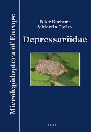 Cover Depressariidae