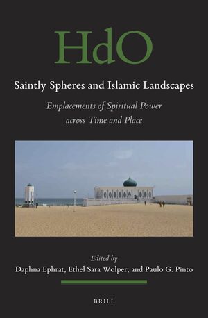 Cover Saintly Spheres and Islamic Landscapes