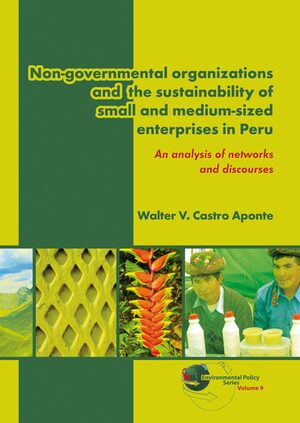 Cover Non-governmental organizations and the sustainability of small and medium-sized enterprises in Peru