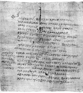 d64878527e19636