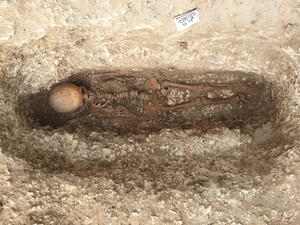 Figure 25.3