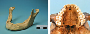 Figure 14