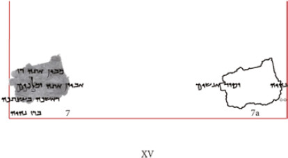 Column XV