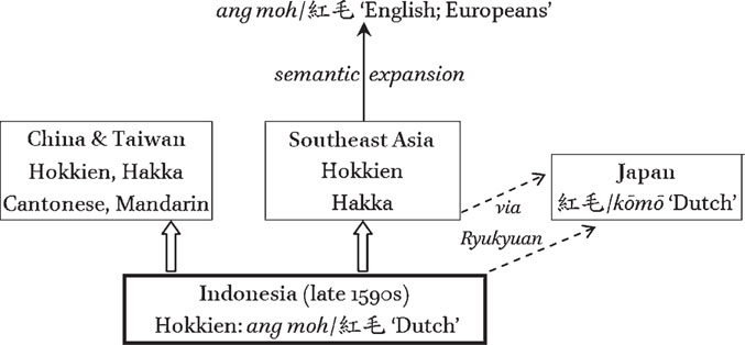 The spread and development of ang moh ç´
æ¯