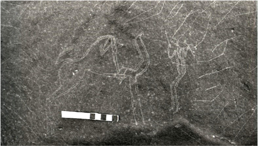 d957991947e6168