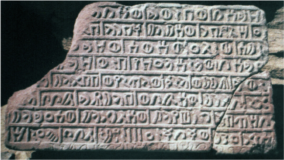 d23018969e3119