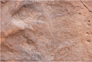 d23018969e7654