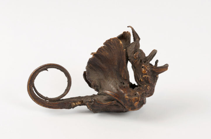 Dragon made of dried ray, eighteenth century