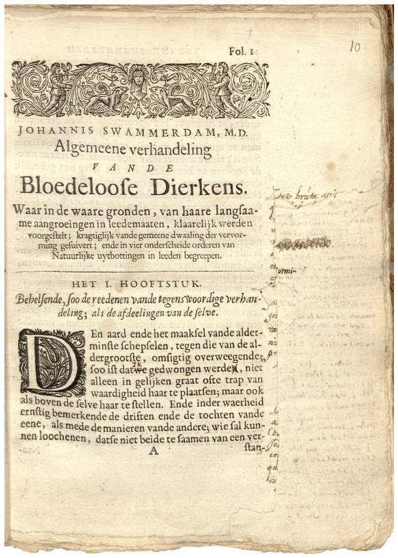 d2155988e2338