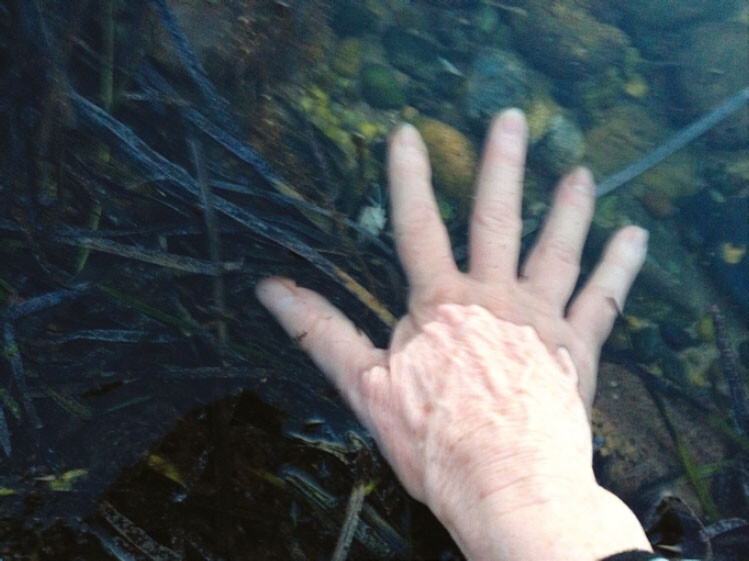 Caressing the seabed