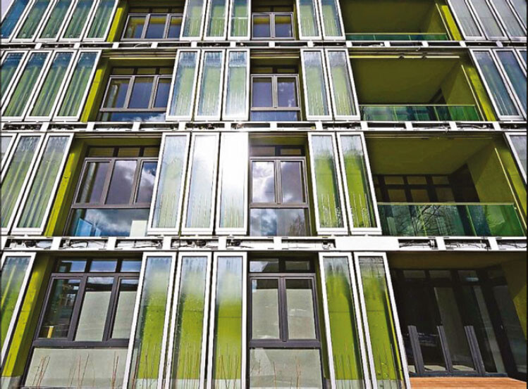 Solarleaf façade of B.I.Q. House with algae monoculture in flat bioreactors built on the occasion of the International Building Exhibition in Hamburg, 2013. Team: ARUP Engineering in collaboration with the Strategic Science Consult and Colt International