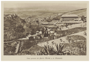 d11648286e1943