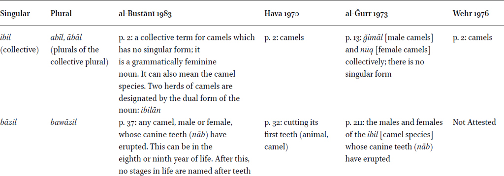 Definitions of animal terms found in dictionaries of Modern Standard (al-Ǧurr, Wehr) and Classical (al-Bustānī, Hava) Arabic