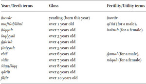 Relationship of camel terms that specify age in years to terms that describe camels’ fertility or utility as mounts