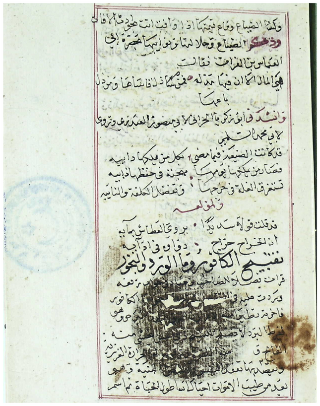 Figure 4: MS Ragippaşa / Rāghib Bāshā 1473 (Istanbul), f. 133b–134a