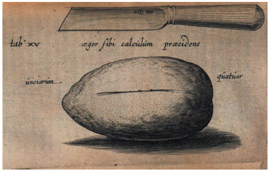 FIGURE 10.2