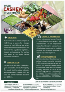 Figure 58: MUDI Farms Ltd. Leaflet informing about MUDI Cashew Investment, a project of MUDI Farms Ltd
