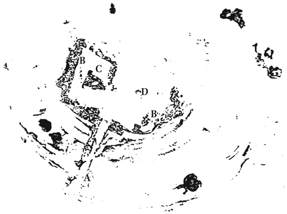 Figure 24: Excavation plan of the Monte Acuto sanctuary. A: entrance; B: precinct; C: sacellum; D: votive pit (after Cenciaioli 1998, 46).
