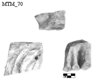Figure A83: Fragments of a foot (modified after Bononi Ponzi 1989, 26 fig. 21).