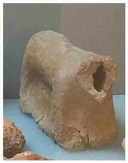 Figure A144: Fragment of a terracotta bovine (inv. N. 305623).