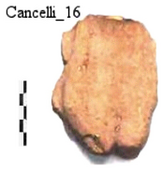 Figure A203: Fragment of a foot (inv. N. 695199; after Manca et al. 2014, 51 n. 5).