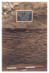 Figure 29: Colle Mori cistern clad in bricks (after Bonomi Ponzi 2010, 189, fig. 35).