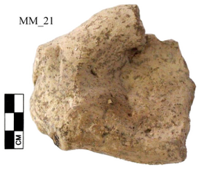 Figure A98: Fragment of a left hand (inv. N. 183019; by permission of the Polo Museale dellâUmbria).