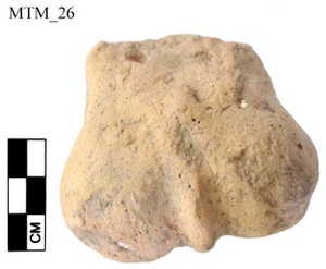Figure A101: Fragment of male genitalia (inv. N. 232374; by permission of the Polo Museale dellâUmbria).