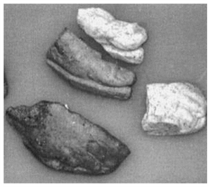 Figure A140: Fragments of feet, toes and fingers (inv. NN. 305628, 305631âfeet; 305626, 305627âtoes; 305629, 305630âfingers; after Pani 2011, fig. 23).