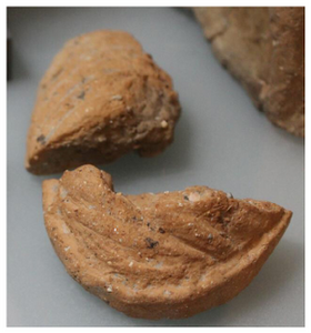 Figure A141: Fragments of two uteri (inv. NN. 305645 and 305645).