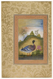 Figure 7.16aâb: Reconstruction of an opening: a drake (left page) and a night heron (right page), Mughal, c. 1630, Dara Shikoh Album, c. 1630â1633
