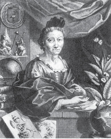 Figure 3.24