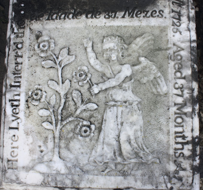 Figure 20.4