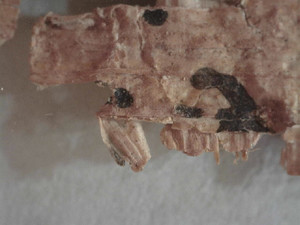 Figure 3.2