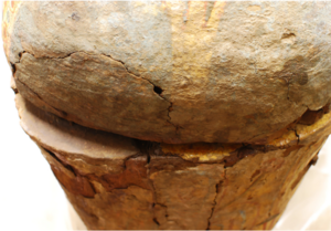 d75129118e44163