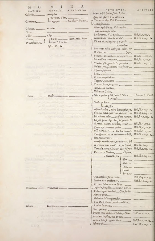 Salviani Ippolito, Aquatilium animalium historiae (Rome, Ippolito Salviani: 1554). Multicolumn tables of fish names concordances and fish information, fol. 19v