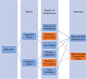 Characterizing the two meanings of nafs