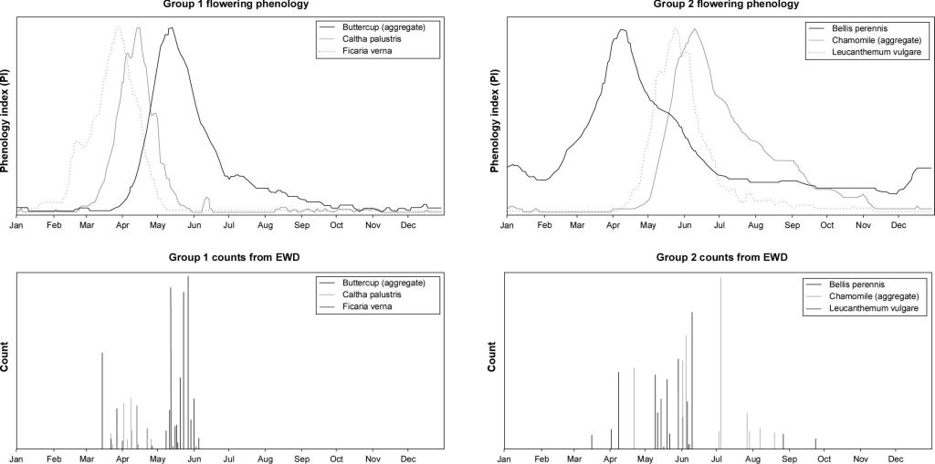 Data alignment overview for both groups: (top) flowering phenology estimates from NDFF for the selected species and (bottom) histogram of objects counts from EWD for the selected species. The horizontal axis is the day of year ranging from 1 to 365, while the vertical axis is (top) the phenological index, normalized from 0 to 1, and (bottom) an object count