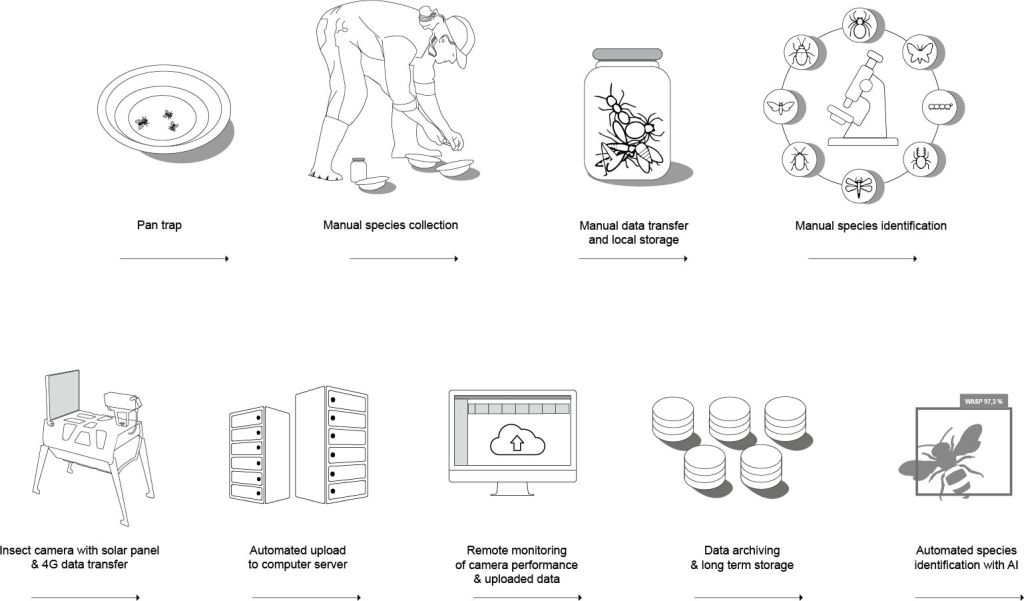 Manual data collection and identification (top) versus a fully automatic AI-powered solution for monitoring biodiversity (bottom)