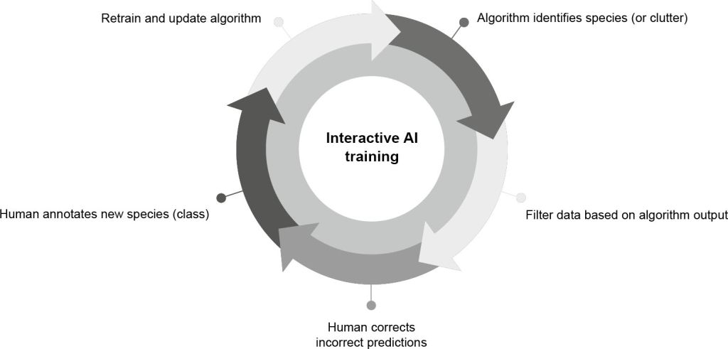 The active learning cycle of advanced species identification in ARISE