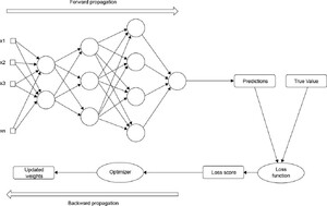Training process of a neural network