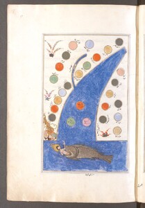 A drawing in a manuscript containing Arabic text, showing a man with a fiery halo being eaten by a large fish, against the background of a body of water surrounded by many colored circles.