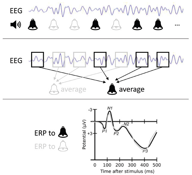 FIGURE 14