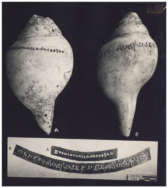 Two inscribed conch shells and the estampage of the inscriptions.