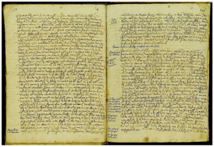 Figure 2: Transumpts of the Carte volgari from the Liber Diversorum (DigiLib., pp. 317; CV11)
