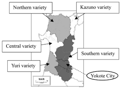 Map of Akita subvarieties and the location of Yokote City, the focus of prosodic data in this chapter.