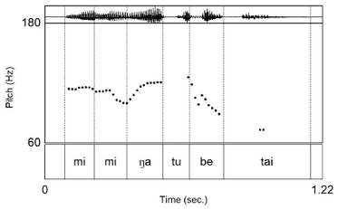 Pitch contour for /mimi=ŋa/ in focus; accent on 2nd mora produces minimal excursion of phrase-initial high tone.
